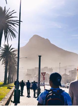 students going for a walk on the palm tree-lined sidewalk in Cape Town