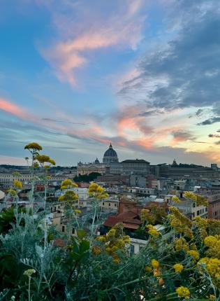 A photo taken amongst yellow flowers with St. Peter's Basilica and Rome in the distance under a sky tinged with pink clouds.