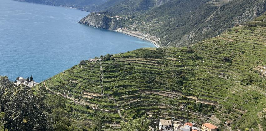 Cinque Terre