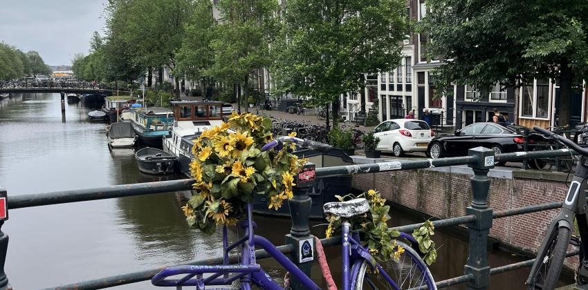 there is a purple bike with a basket of sunflowers that is leaning against a gate; the canals and buildings are visible in the background