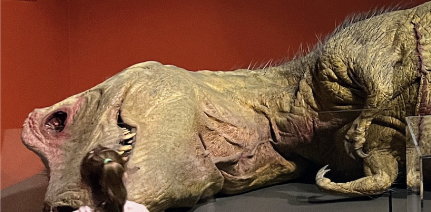 The head of a large life-size model of a T-Rex is displayed.