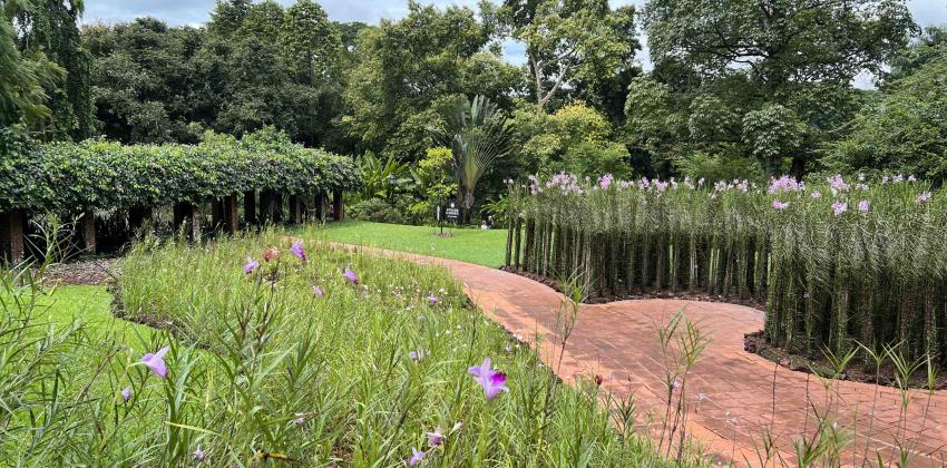 Singapore Botanic Gardens