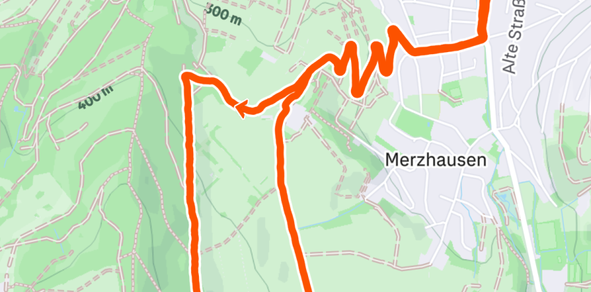 Strava map of a running route