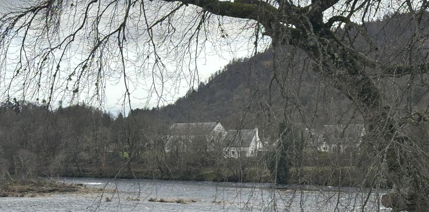 A photo of a few houses sitting behind a tree in a town called Dunkeld, located in Scotland