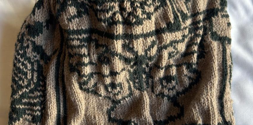 The collections cowl by Meredith Willmott shown on the side with a Luna Moth. The ribbing is a light green. The color work is a beige background with dark green bugs.